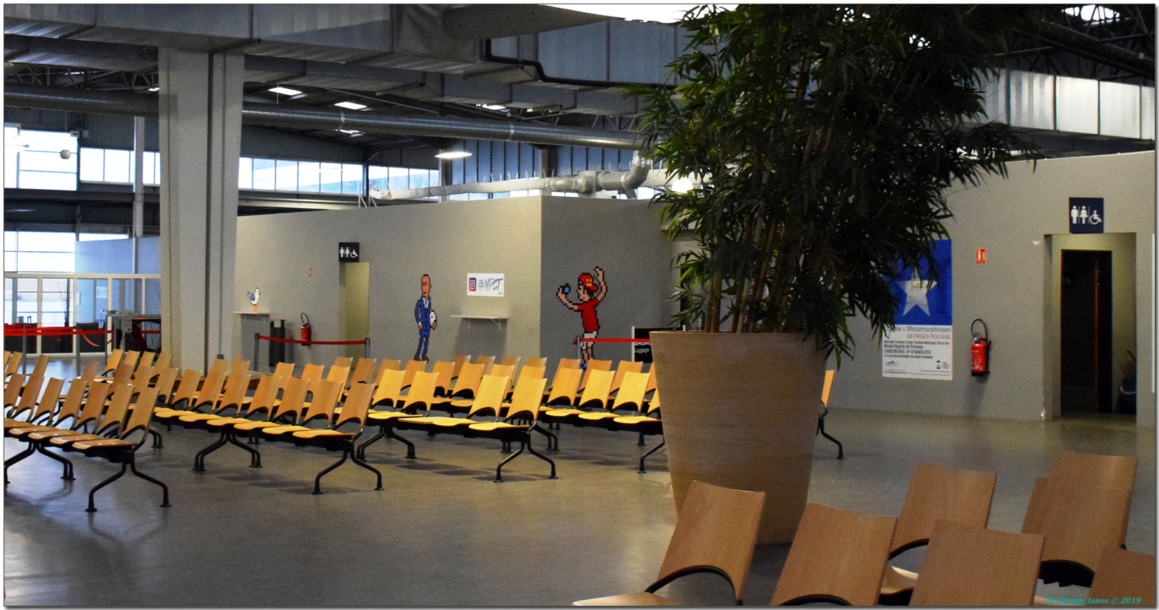 MSC World Europa Cancela Escala en Marsella: El Impacto del Clima en tus Cruceros por el Mediterráneo