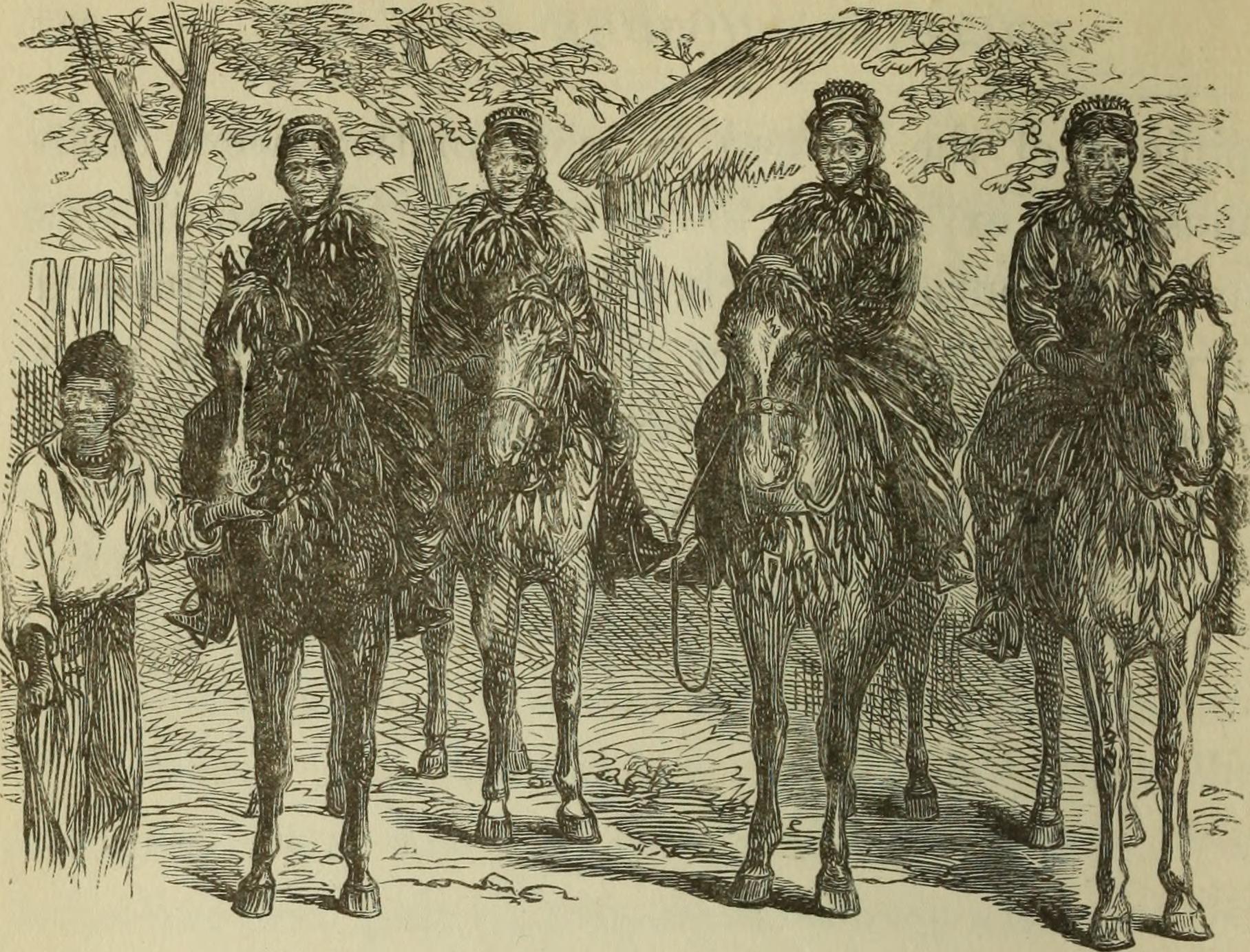 La Guía Definitiva: Cómo es el Desembarque en un Crucero Paso a Paso y Sin Estrés